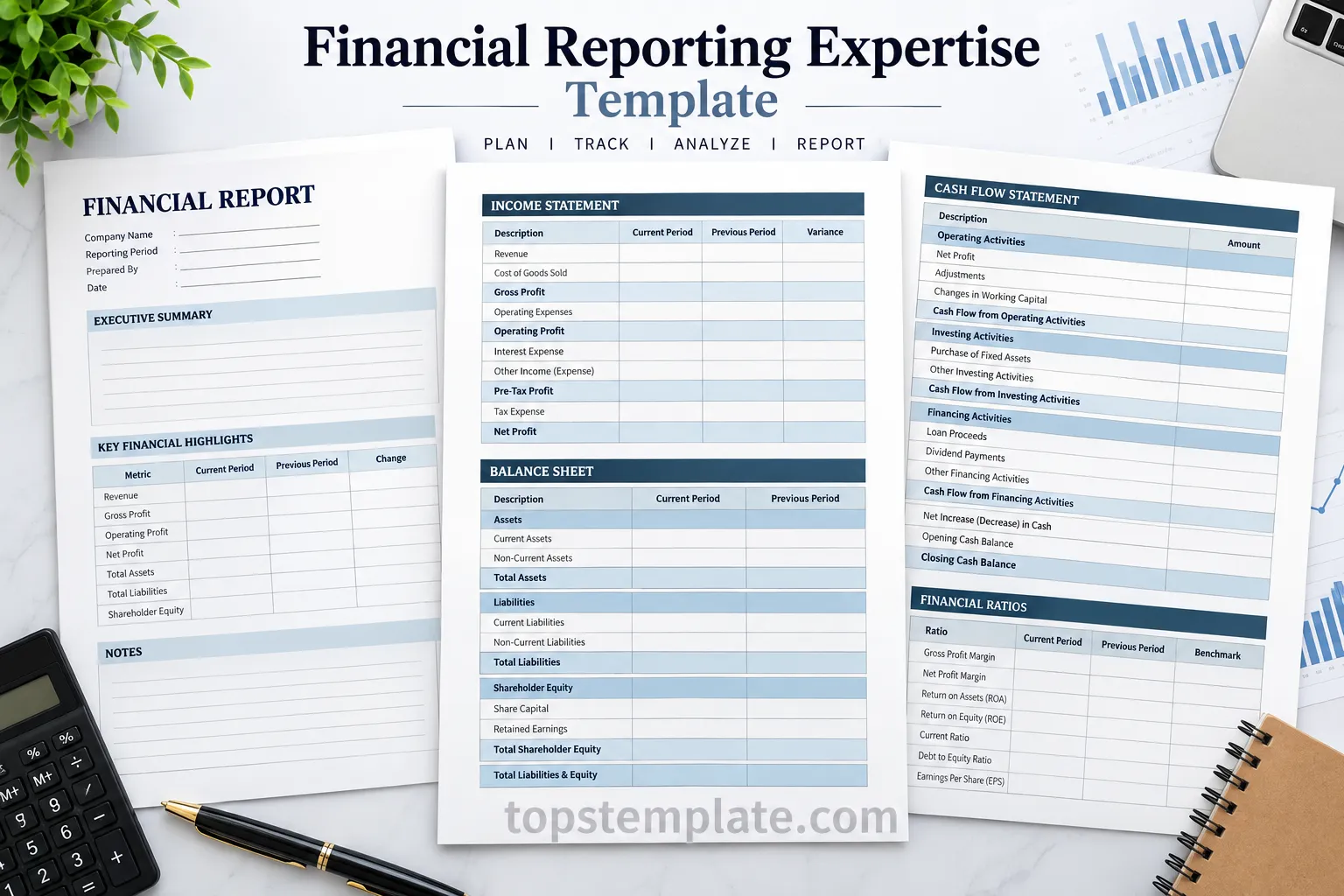 Financial reporting expertise template with income statement, balance sheet, cash flow statement, and financial ratios